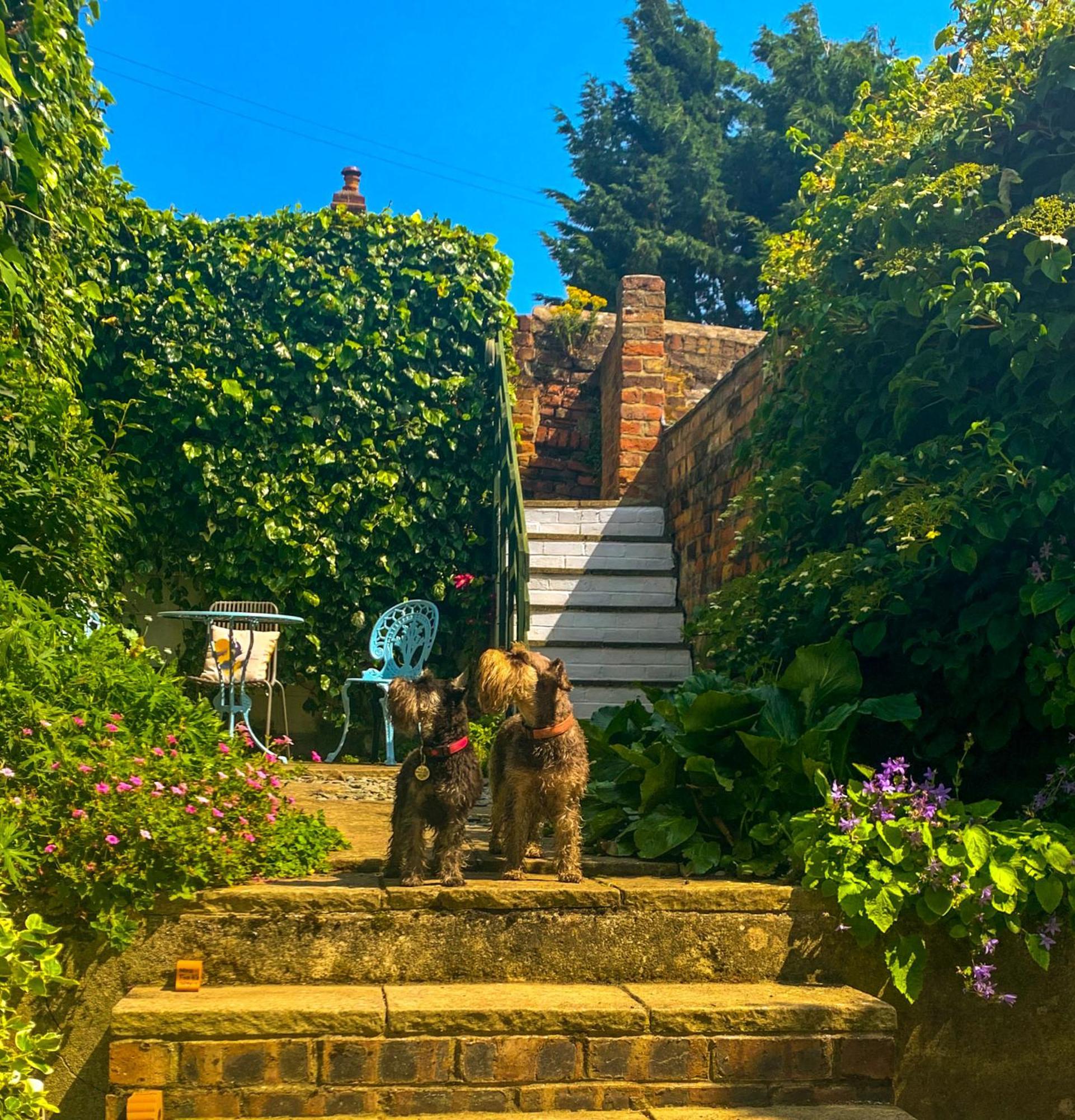 Gowland Cottage, Old Town, Scarborough Exterior foto